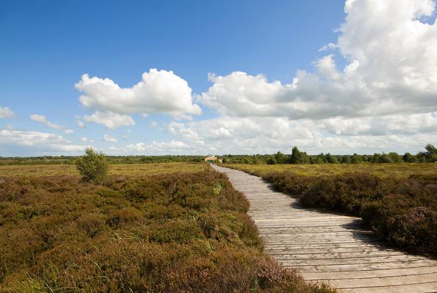 Corlea Trackway